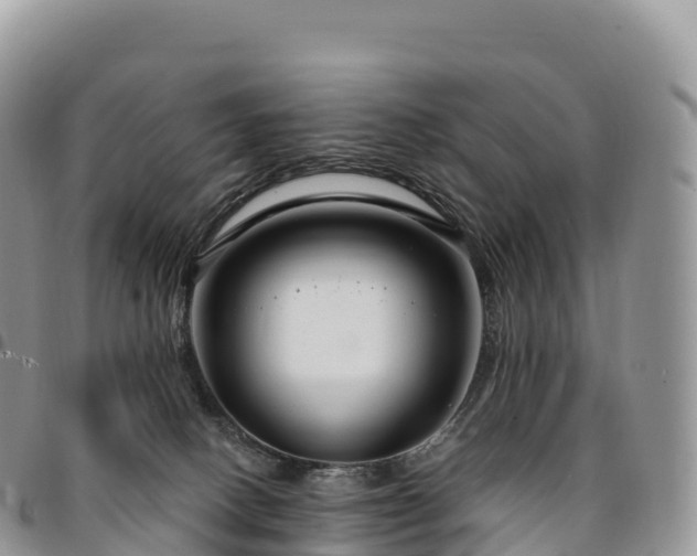 X0000094920082200711291322