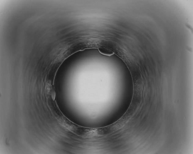 X0000094920083200711291322