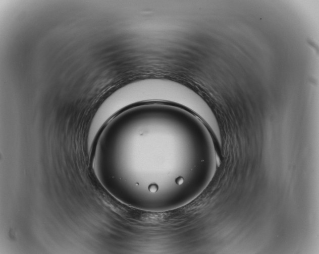 X0000094920084200711291322