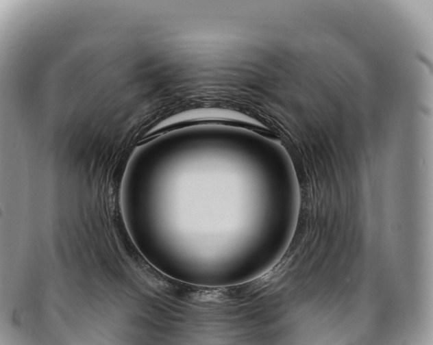 X0000094920086200711291322