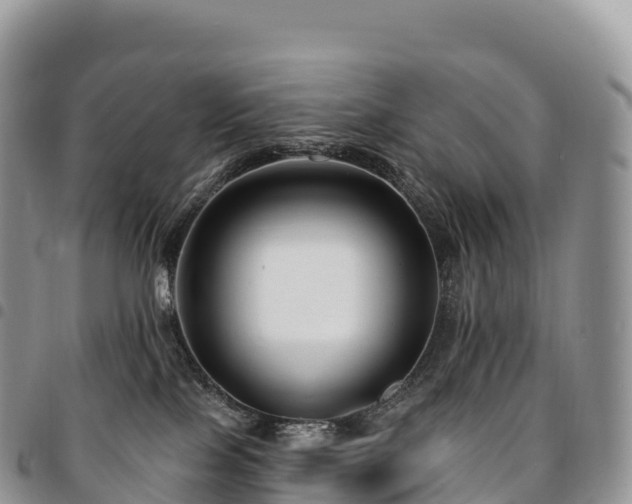 X0000094920089200711291322