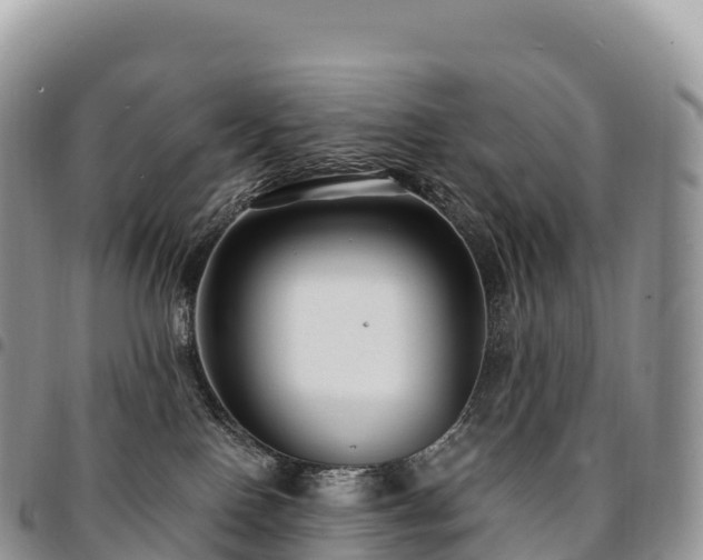 X0000094920090200711291322