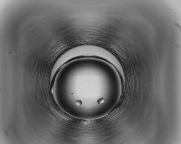X0000094920092200711291322