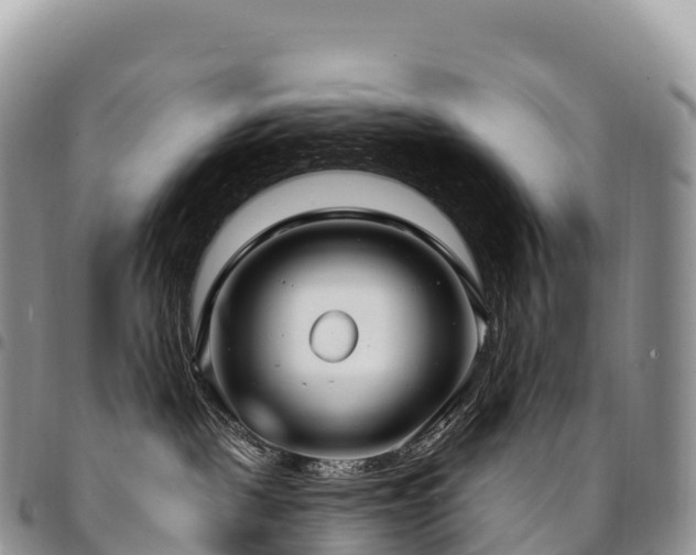 X0000094920093200711291322