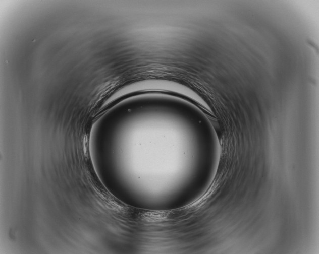 X0000094920094200711291322