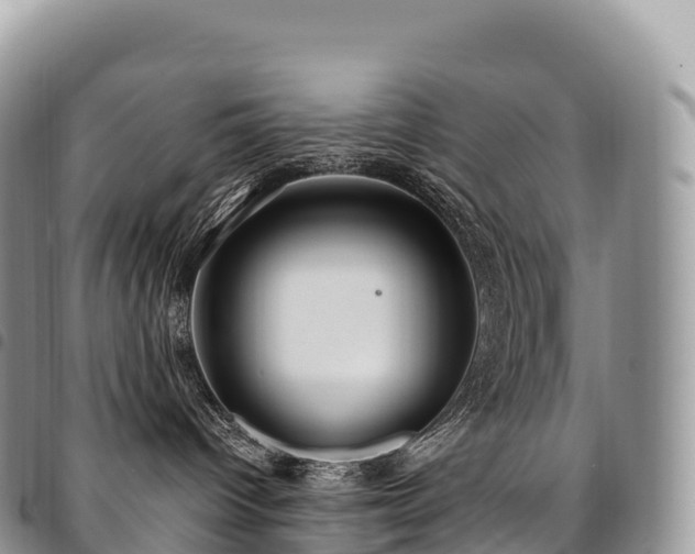 X0000094920096200711291322