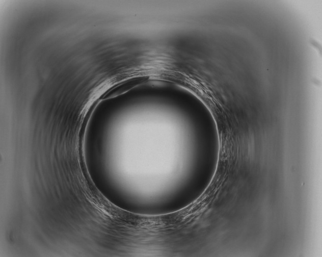 X0000094920099200711291321