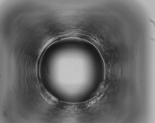 X0000094920100200711291321
