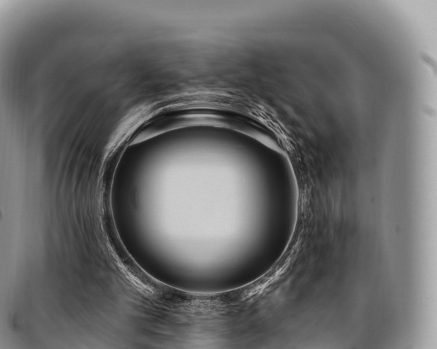 X0000094920101200711291321