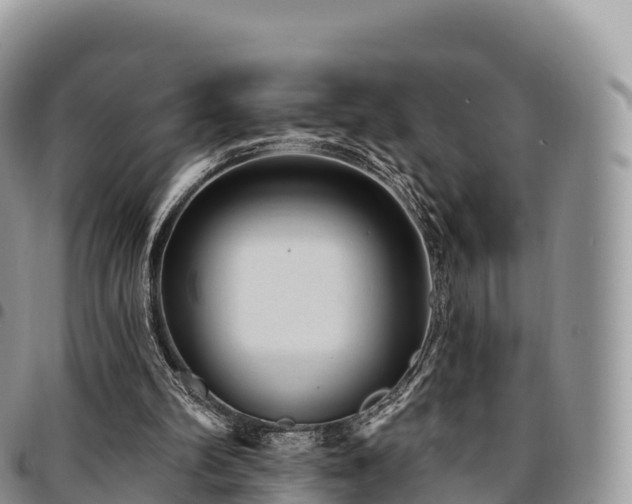 X0000094920102200711291321