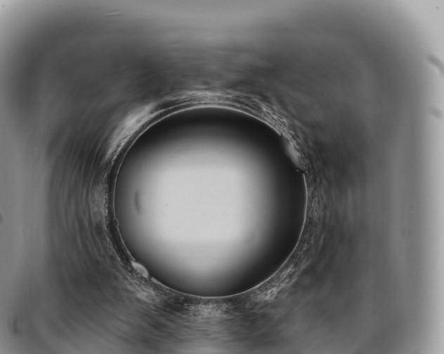 X0000094920103200711291321