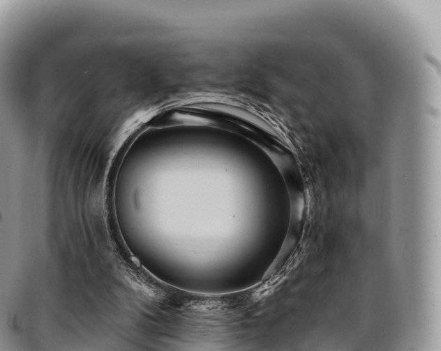 X0000094920104200711291321