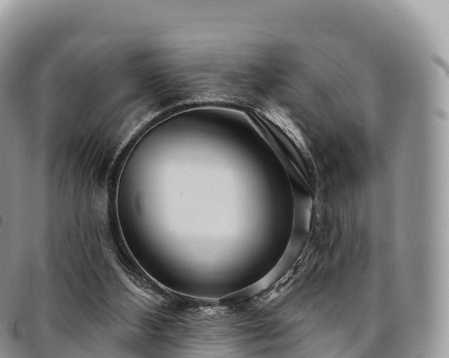 X0000094920108200711291321