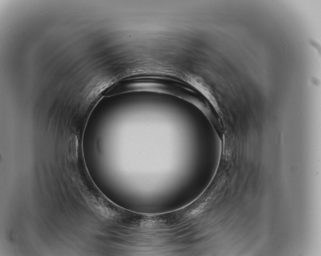 X0000094920109200711291321