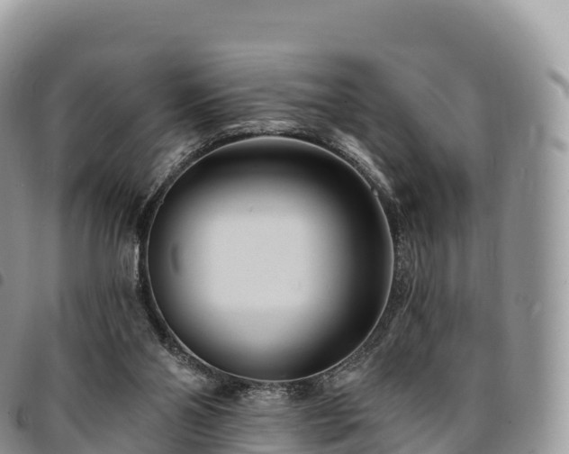 X0000094920110200711291321