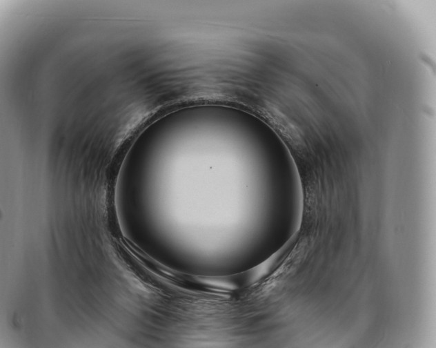 X0000094920112200711291321