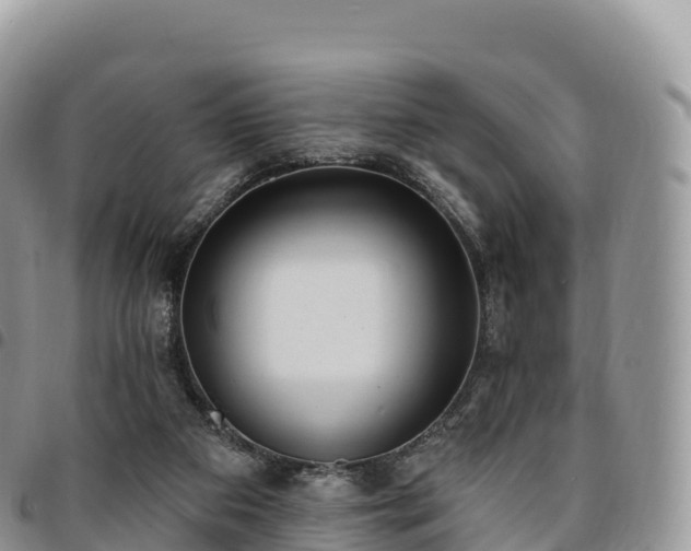 X0000094920113200711291321