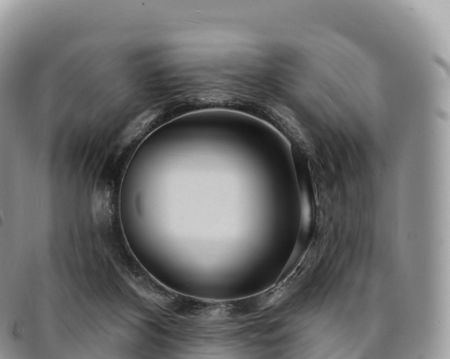 X0000094920116200711291321