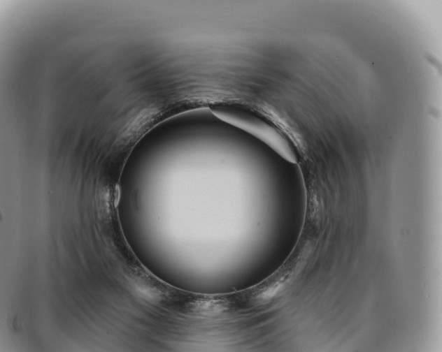 X0000094920117200711291321