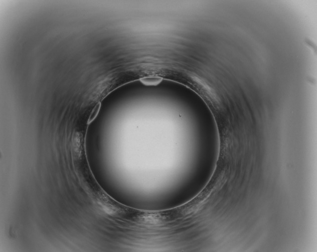 X0000094920121200711291321
