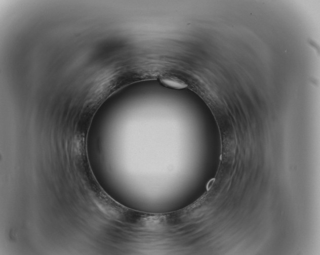 X0000094920126200711291321