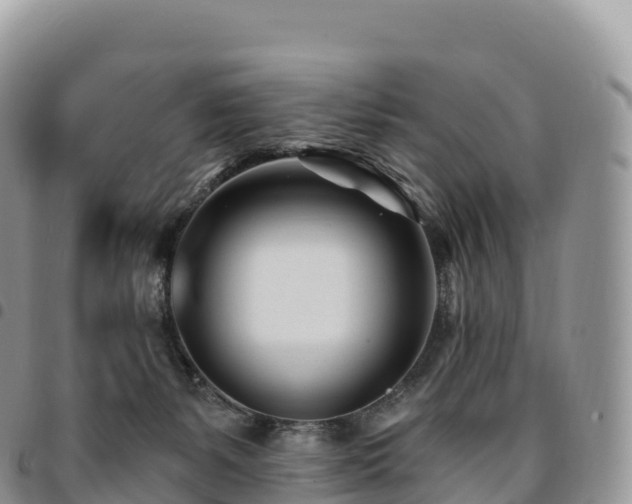 X0000094920127200711291321