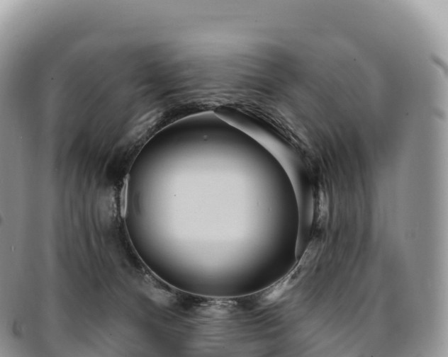 X0000094920128200711291321