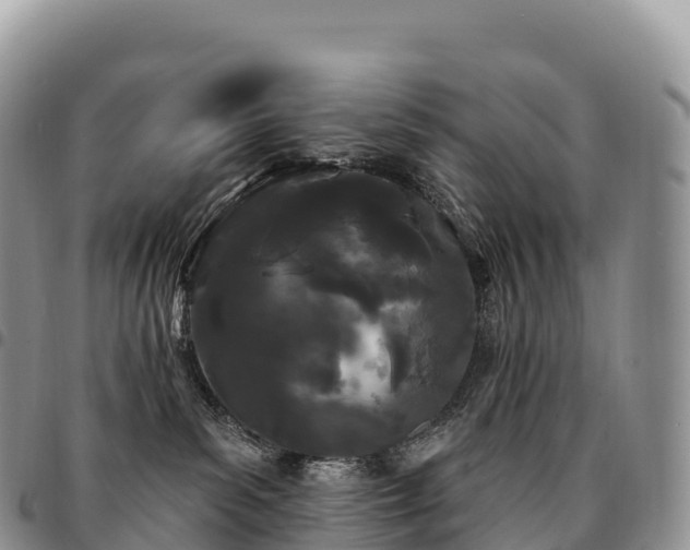 X0000094920139200711291321