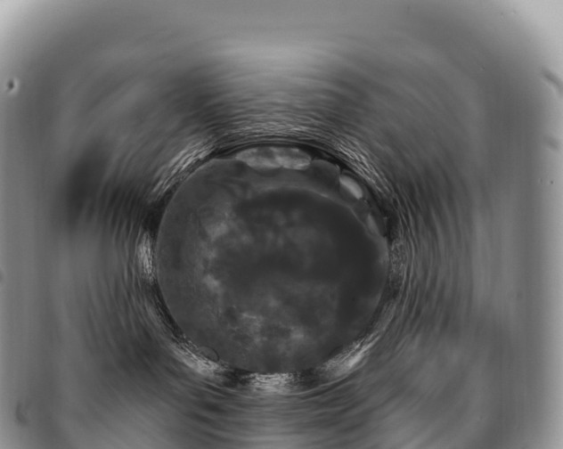 X0000094920143200711291321