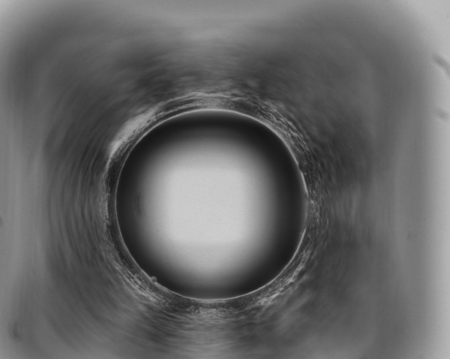 X0000094920149200711291320