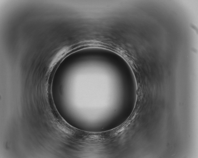 X0000094920151200711291320