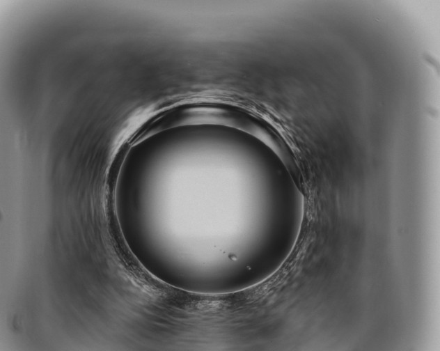 X0000094920152200711291320