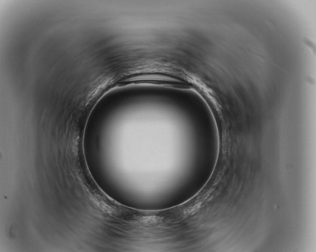 X0000094920153200711291320