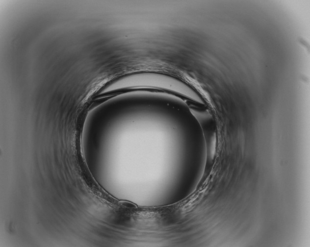 X0000094920154200711291320