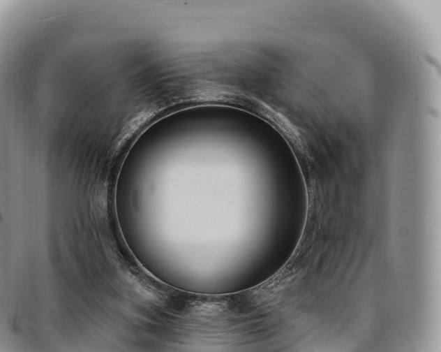 X0000094920155200711291320