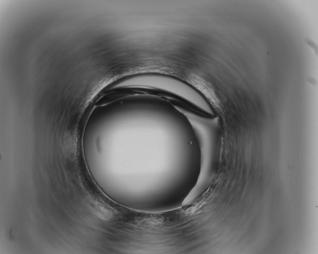X0000094920156200711291320
