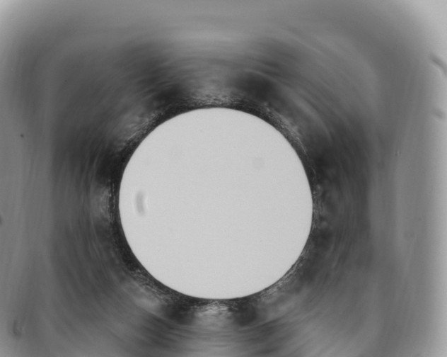 X0000094920162200711291320