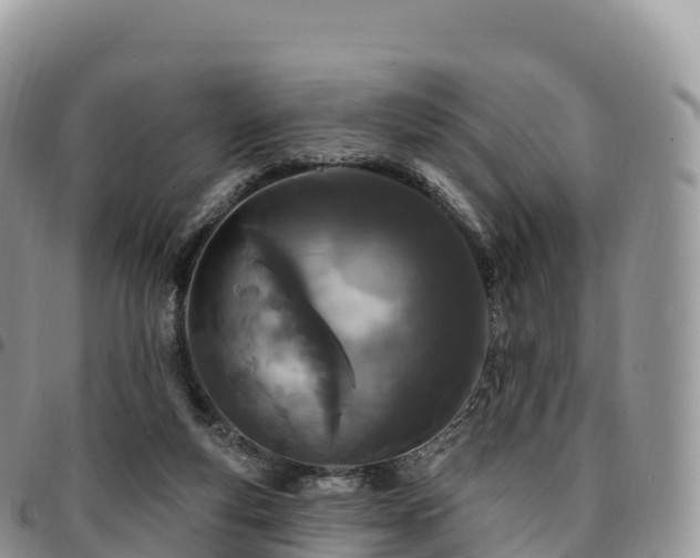 X0000094920163200711291320
