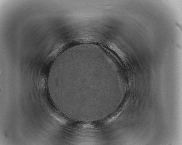 X0000094920165200711291320