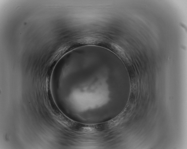 X0000094920167200711291320