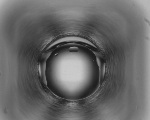X0000094920168200711291320