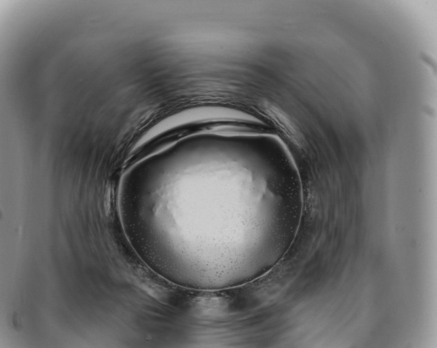 X0000094920169200711291320
