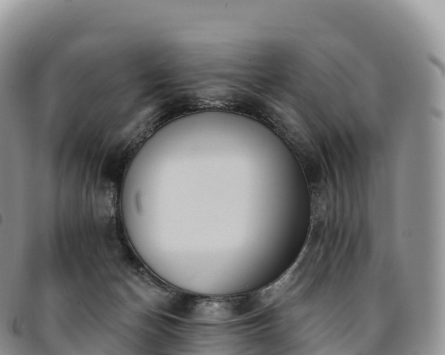 X0000094920174200711291320