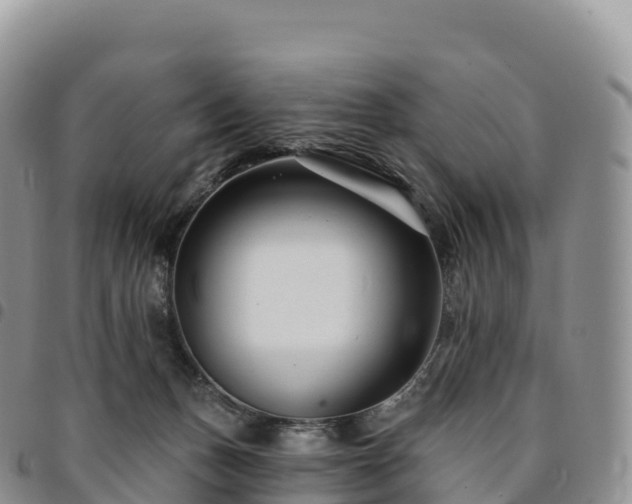 X0000094920175200711291320