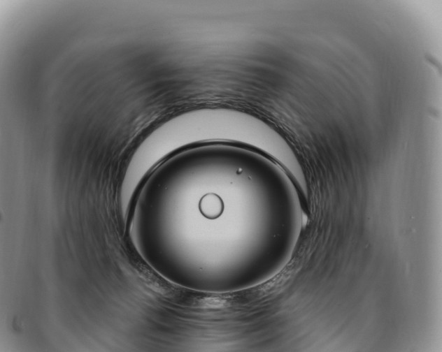 X0000094920176200711291320