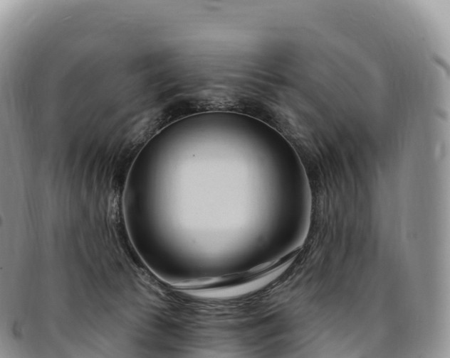 X0000094920177200711291320
