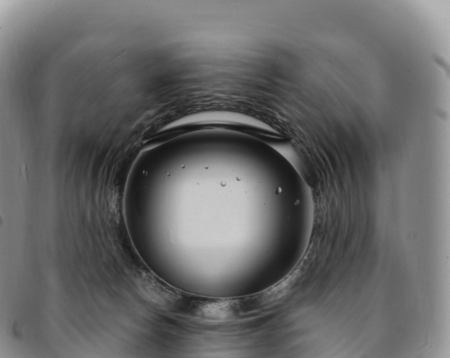 X0000094920178200711291320