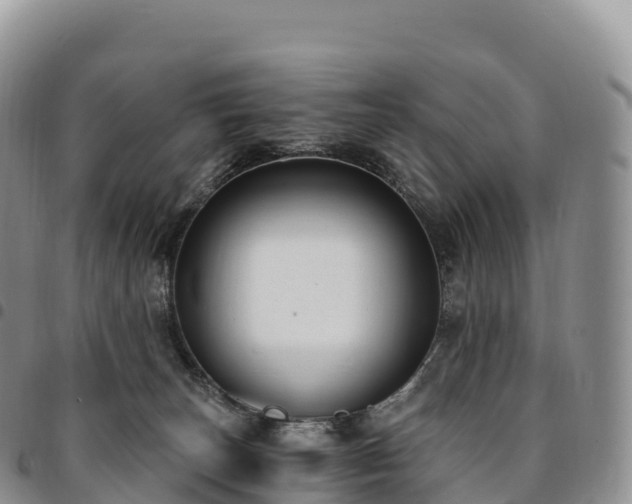 X0000094920179200711291320