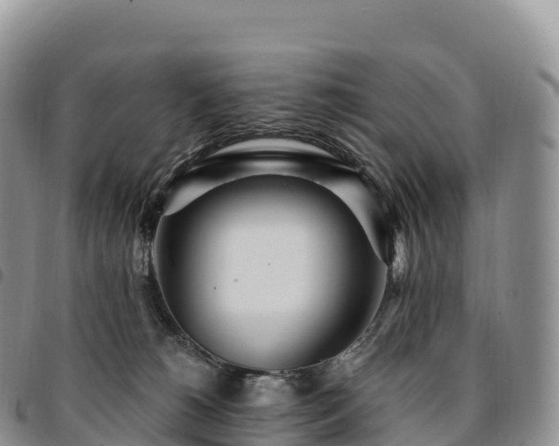 X0000094920180200711291320