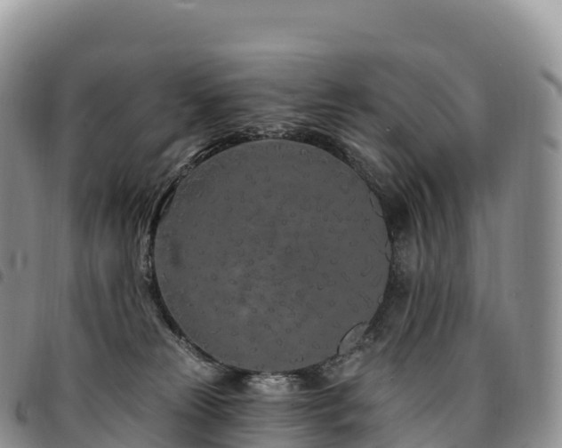 X0000094920181200711291320